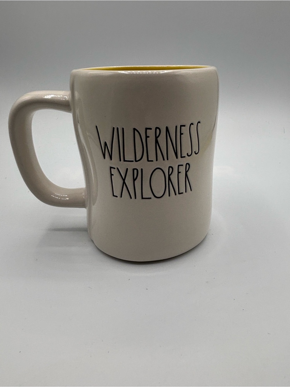 Rae Dunn Disney Pixar UP Wilderness Explorer Mug With Boy Scout Russell